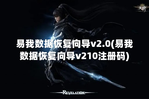 易我数据恢复向导v2.0(易我数据恢复向导v210注册码)