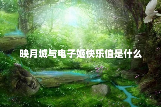 映月城与电子姬快乐值是什么