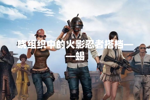 晓组织中的火影忍者搭档——蝎