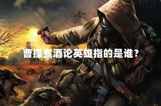 曹操煮酒论英雄指的是谁？