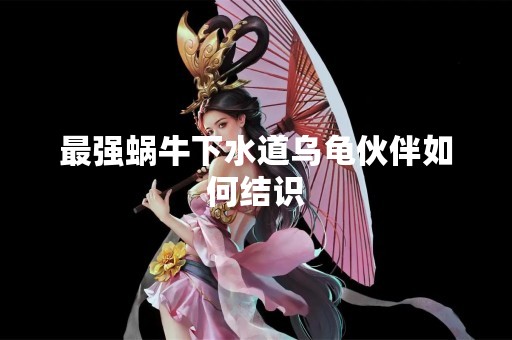 最强蜗牛下水道乌龟伙伴如何结识