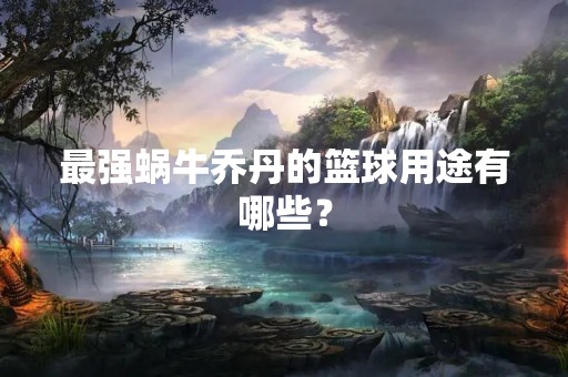 最强蜗牛乔丹的篮球用途有哪些？