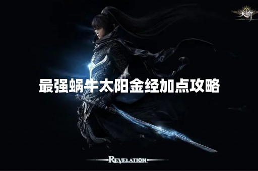 最强蜗牛太阳金经加点攻略