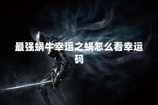 最强蜗牛幸运之蜗怎么看幸运码