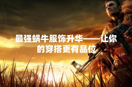 最强蜗牛服饰升华——让你的穿搭更有品位