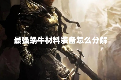 最强蜗牛材料装备怎么分解
