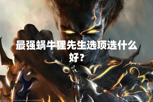 最强蜗牛狸先生选项选什么好？