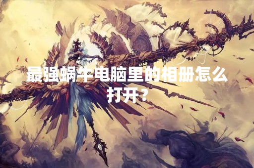 最强蜗牛电脑里的相册怎么打开？