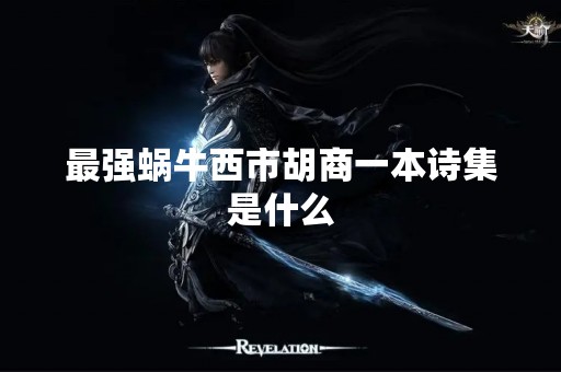 最强蜗牛西市胡商一本诗集是什么