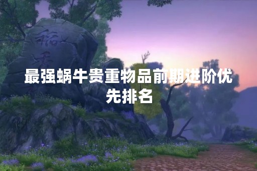 最强蜗牛贵重物品前期进阶优先排名