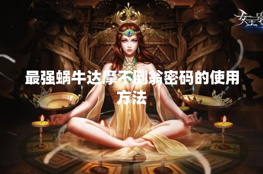 最强蜗牛达摩不倒翁密码的使用方法