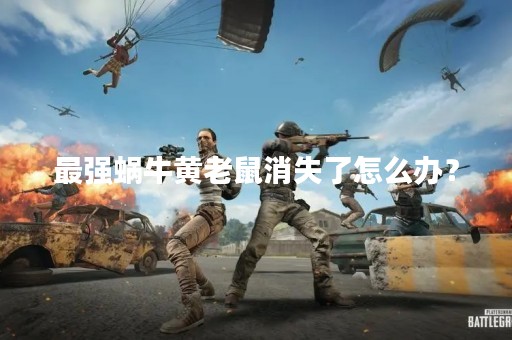 最强蜗牛黄老鼠消失了怎么办？