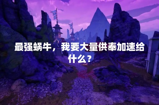 最强蜗牛，我要大量供奉加速给什么？