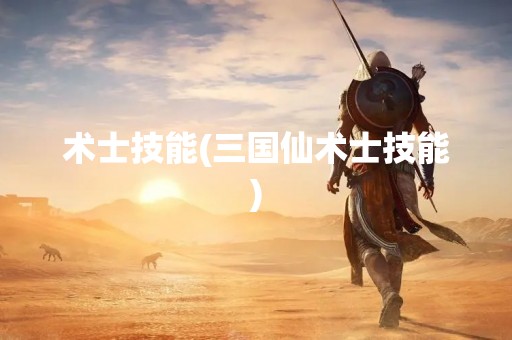 术士技能(三国仙术士技能)