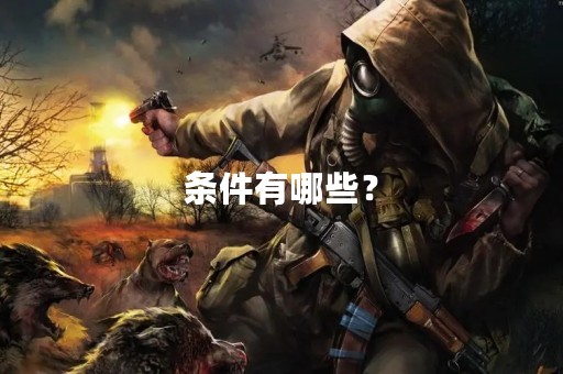 条件有哪些？