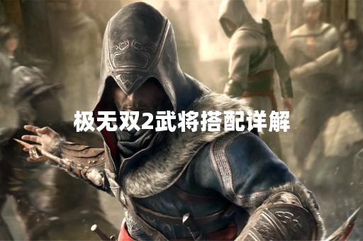极无双2武将搭配详解
