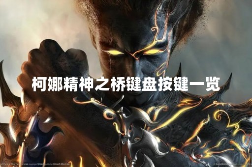 柯娜精神之桥键盘按键一览