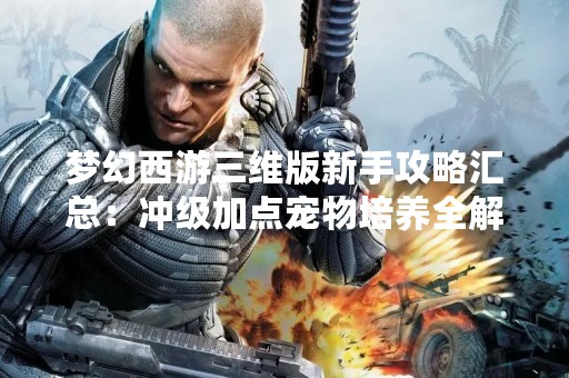 梦幻西游三维版新手攻略汇总：冲级加点宠物培养全解析