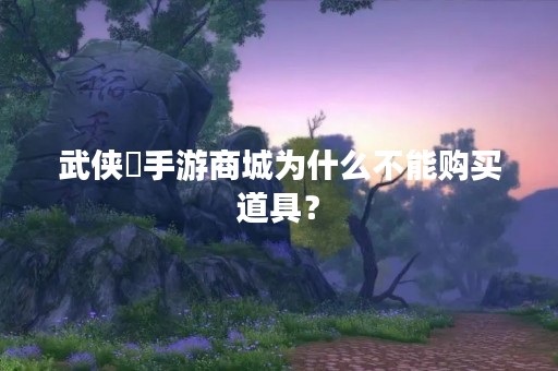 武侠乂手游商城为什么不能购买道具？