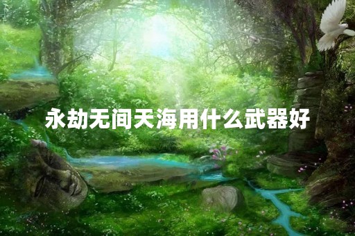 永劫无间天海用什么武器好