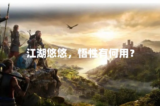 江湖悠悠，悟性有何用？