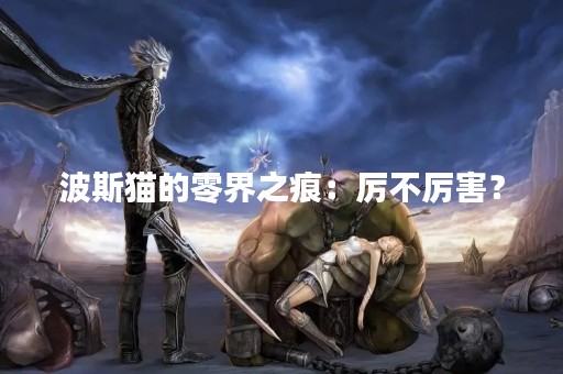 波斯猫的零界之痕：厉不厉害？