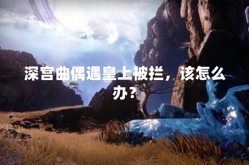 深宫曲偶遇皇上被拦，该怎么办？