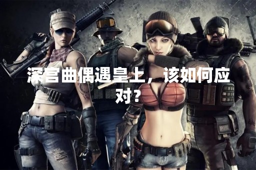 深宫曲偶遇皇上，该如何应对？