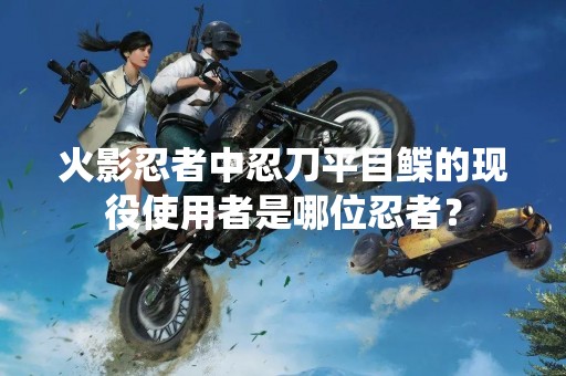 火影忍者中忍刀平目鲽的现役使用者是哪位忍者？
