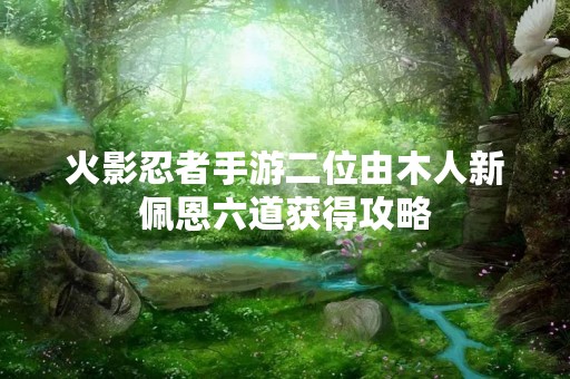 火影忍者手游二位由木人新佩恩六道获得攻略