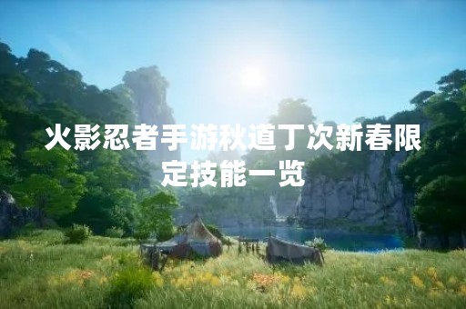 火影忍者手游秋道丁次新春限定技能一览