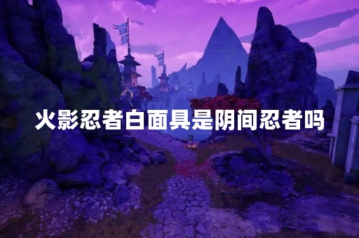 火影忍者白面具是阴间忍者吗