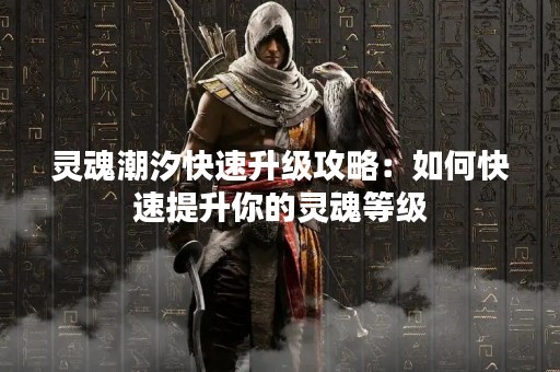 灵魂潮汐快速升级攻略：如何快速提升你的灵魂等级