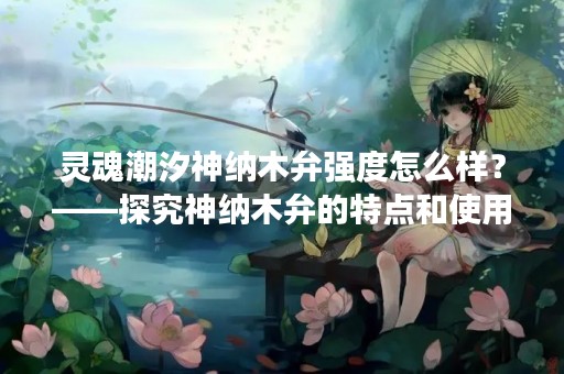 灵魂潮汐神纳木弁强度怎么样？——探究神纳木弁的特点和使用效果