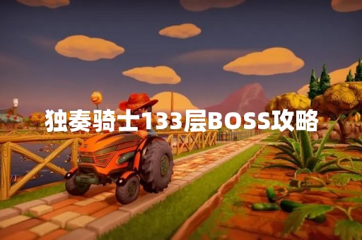 独奏骑士133层BOSS攻略