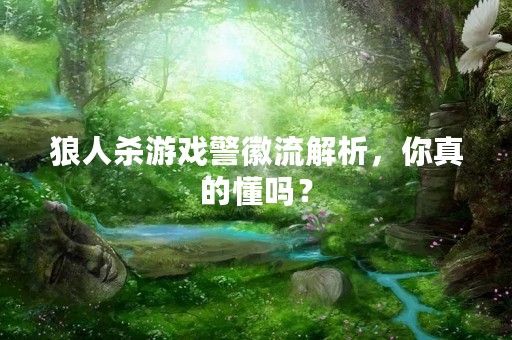 狼人杀游戏警徽流解析，你真的懂吗？