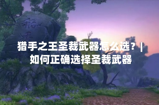 猎手之王圣裁武器怎么选？| 如何正确选择圣裁武器