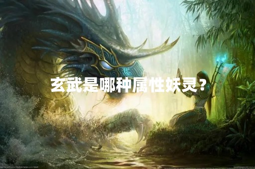 玄武是哪种属性妖灵？
