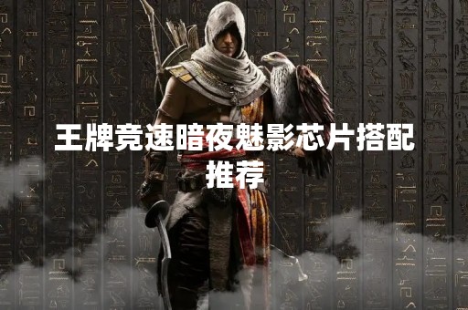 王牌竞速暗夜魅影芯片搭配推荐