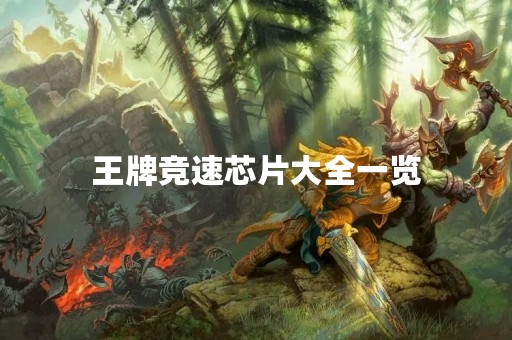 王牌竞速芯片大全一览