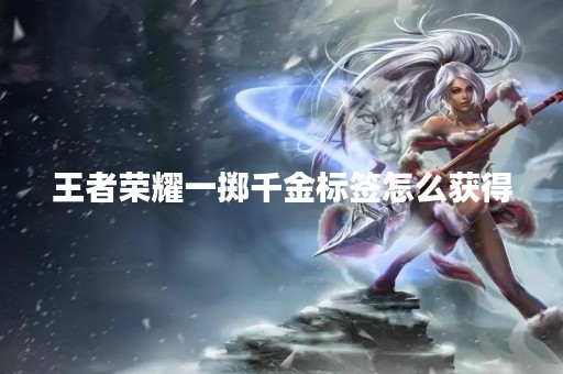 王者荣耀一掷千金标签怎么获得
