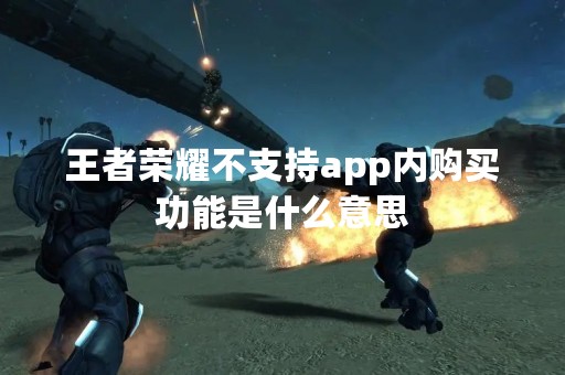 王者荣耀不支持app内购买功能是什么意思