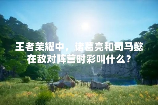 王者荣耀中，诸葛亮和司马懿在敌对阵营时彩叫什么？