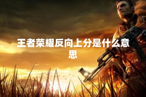 王者荣耀反向上分是什么意思