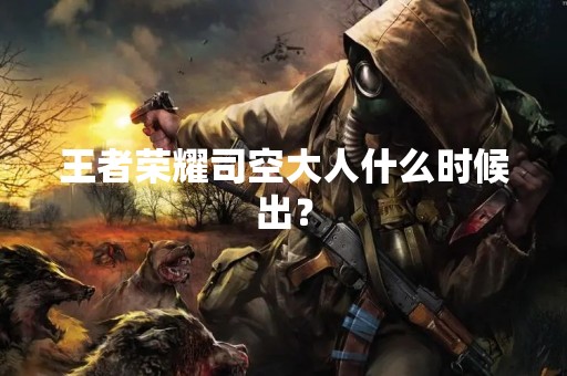 王者荣耀司空大人什么时候出？