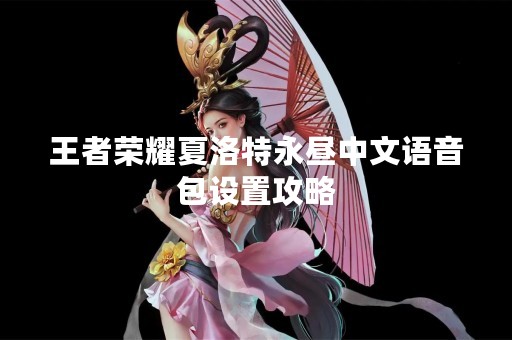 王者荣耀夏洛特永昼中文语音包设置攻略
