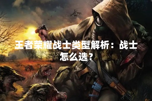 王者荣耀战士类型解析：战士怎么选？