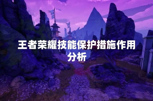 王者荣耀技能保护措施作用分析