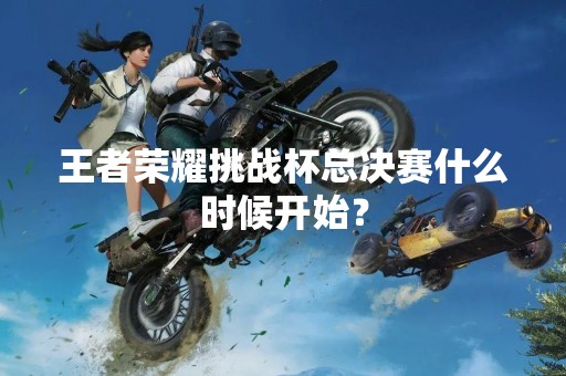 王者荣耀挑战杯总决赛什么时候开始？
