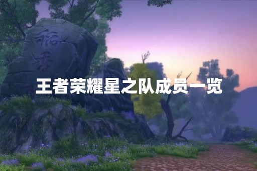 王者荣耀星之队成员一览